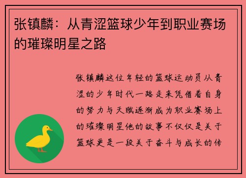 张镇麟：从青涩篮球少年到职业赛场的璀璨明星之路
