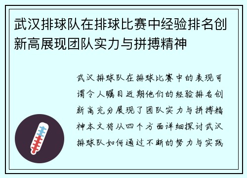 武汉排球队在排球比赛中经验排名创新高展现团队实力与拼搏精神